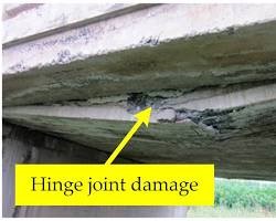 Expansion Joint Sealant Elastomer bearing pad,karet elastomer jembatan,mpmperkasa,Bantalan elastomer,elastomer jembatan,Material elastomer,